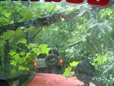 1979 Ford Bronco - Two off-road vehicles navigate a wooded trail, with the lead vehicle's spare tire visible.