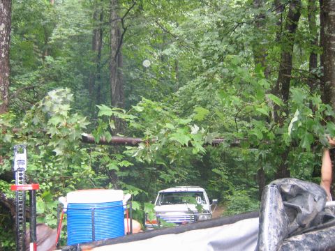 1979 Ford Bronco - A white pickup truck is partially obscured by trees and foliage in a forest setting.