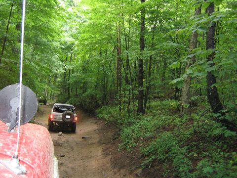 1979 Ford Bronco - A 1979 Ford Bronco navigates a dirt path through a dense forest.