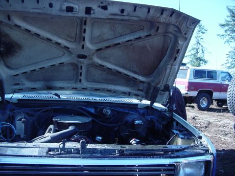 1989 Ford Bronco - Nice and wet under the hood