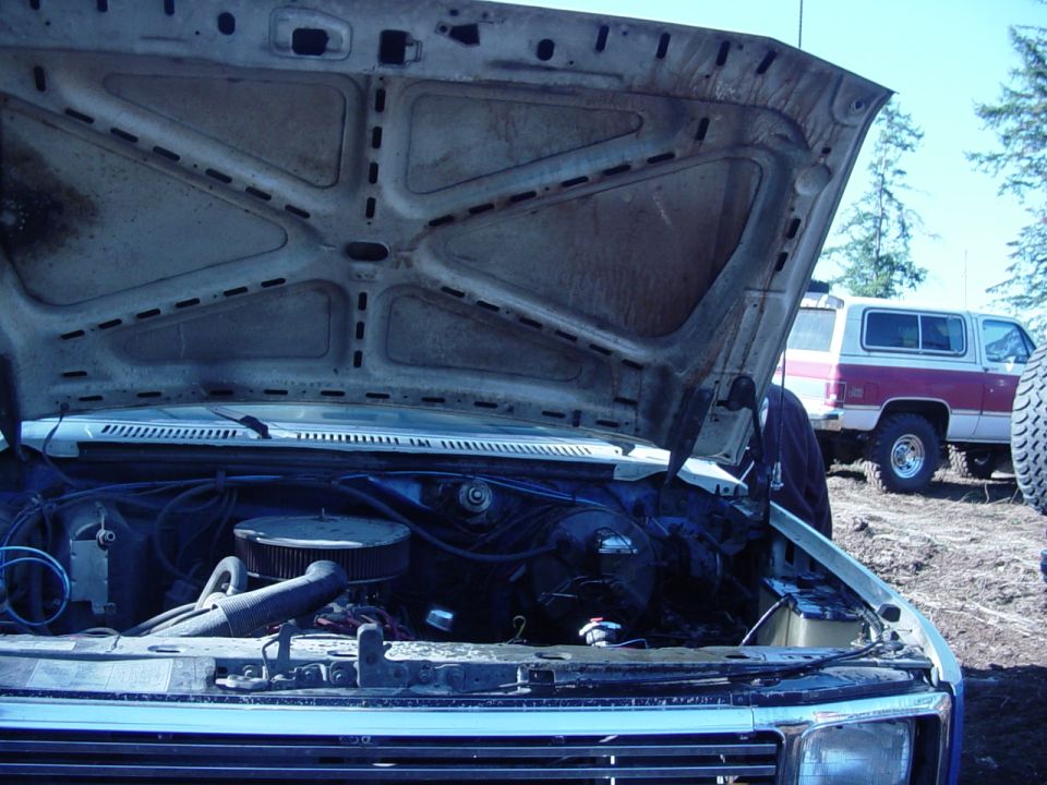 Nice and wet under the hood