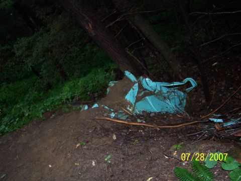 1979 Ford F-150 - A heavily damaged vehicle lies partially submerged in dirt and foliage, overgrown by trees.