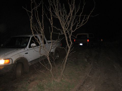 1989 Ford Bronco photo