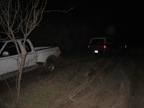 1989 Ford Bronco photo