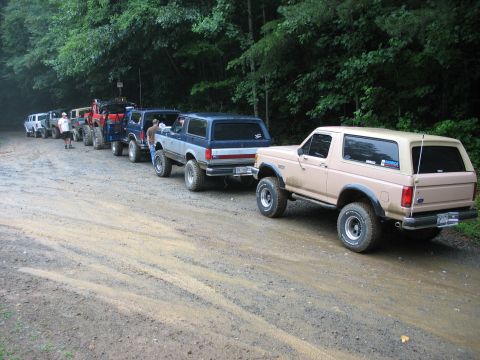1995 Ford C-350 (Centurion Conversions) - A line of Ford Broncos, including a tan model in the foreground, are parked on a dirt road surrounded by trees.