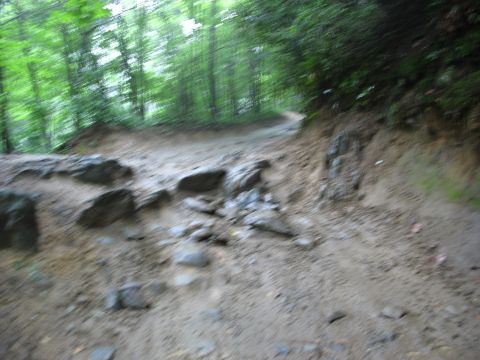 1995 Ford C-350 (Centurion Conversions) - A dirt path winds through a wooded area, with rocks scattered on the ground.