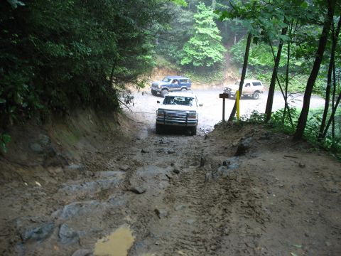 1995 Ford C-350 (Centurion Conversions) - Multiple trucks navigate a challenging muddy trail through a wooded area.
