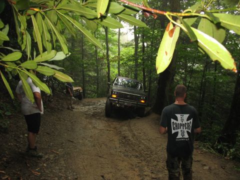1995 Ford C-350 (Centurion Conversions) - Off-roading adventure on a wet, muddy path through a dense forest with trees on either side.
