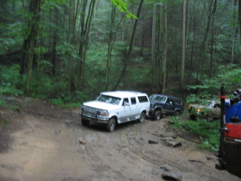 1995 Ford C-350 (Centurion Conversions) - Multiple SUVs navigate a challenging, muddy path through a dense, green forest.