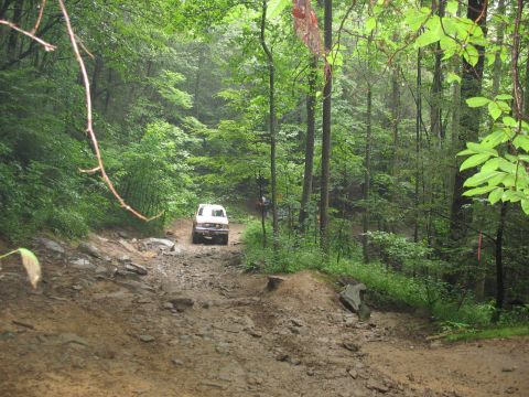 1995 Ford C-350 (Centurion Conversions) - Off-road adventure on a wet, wooded trail with a white van leading the way.