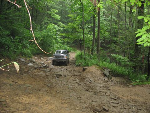 1995 Ford C-350 (Centurion Conversions) - A 1995 Ford C-350 (Centurion Conversions) navigates a challenging, muddy, and rocky path through a dense forest.