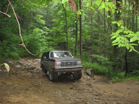 1995 Ford C-350 (Centurion Conversions) - Ford Bronco tackles a challenging off-road path through a dense, green forest.