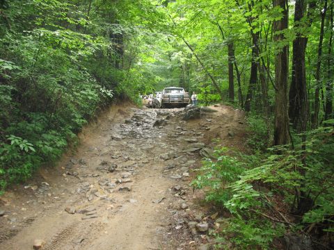 1995 Ford C-350 (Centurion Conversions) - Several trucks navigate a challenging, overgrown forest trail with a rocky and muddy surface.