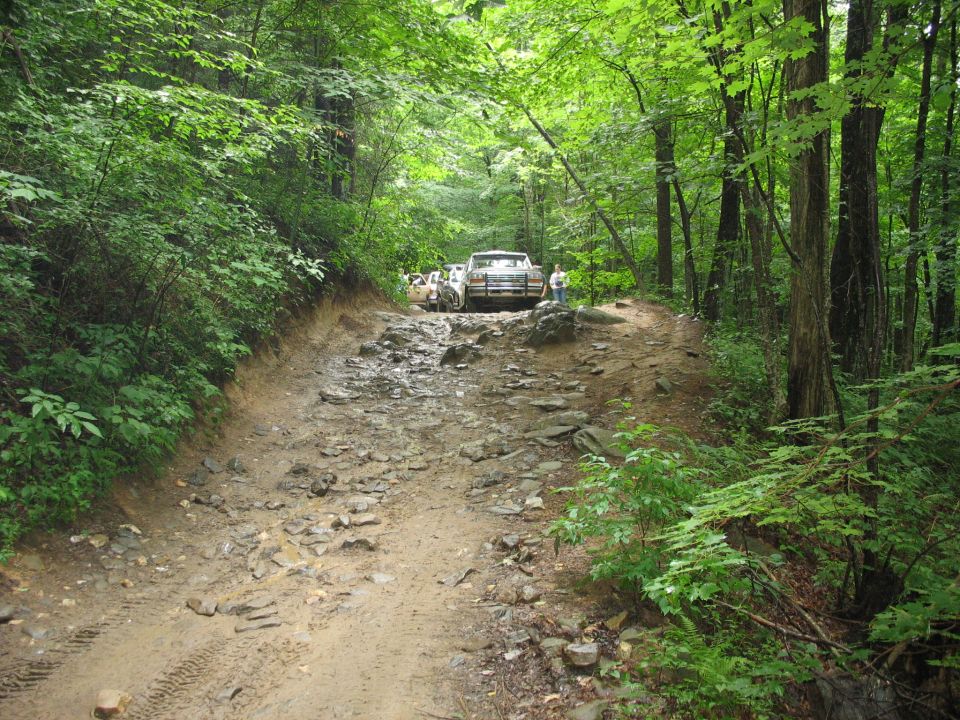 White Ford F-Series truck on a rocky, muddy forest road. Front view