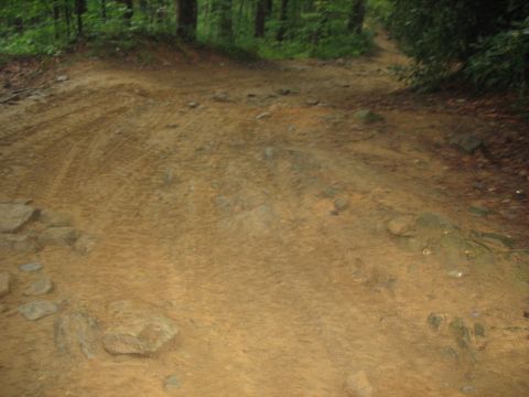 1995 Ford C-350 (Centurion Conversions) - A muddy, rutted dirt path winds through a wooded area, showing signs of recent vehicle passage.