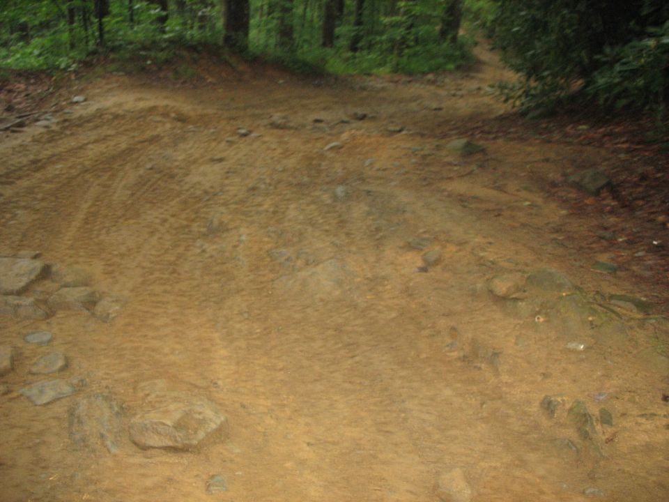 Dirt road with tire tracks and rocks, surrounded by trees