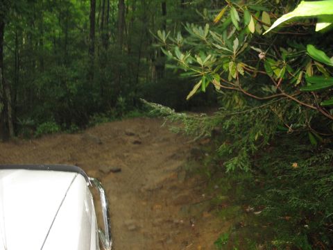 1995 Ford C-350 (Centurion Conversions) - A white vehicle drives on a muddy, rocky path through a dense forest with green foliage.