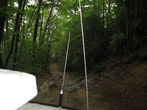 1995 Ford C-350 (Centurion Conversions) - Driving on a muddy, rocky trail through a dense forest, with antennas extending from the vehicle.