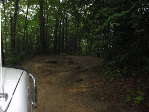 1995 Ford C-350 (Centurion Conversions) - A dirt road passes through a thick forest, with the edge of a vehicle visible on the left side.