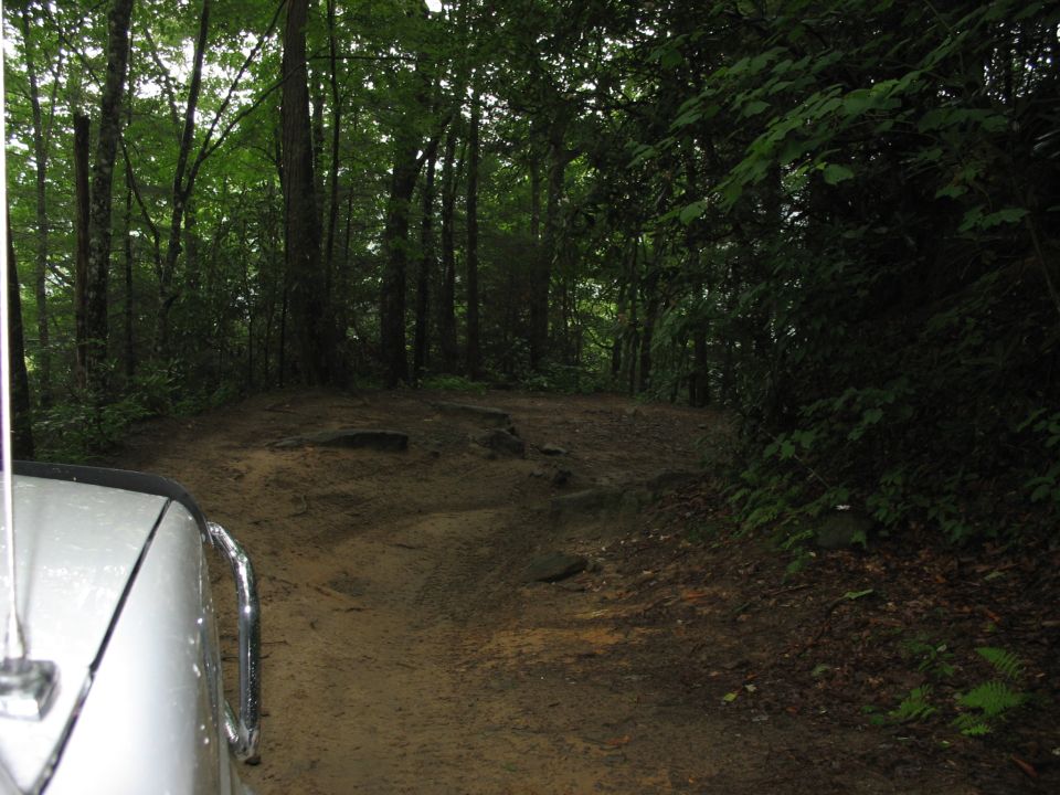 Dirt road winding through a dense forest with trees on both sides. Part of a white vehicle is visible on the left