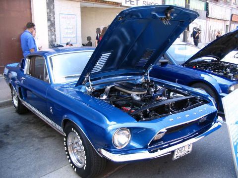 1993 Ford Taurus - A blue 1967 Shelby Mustang is displayed with its hood open, revealing the engine, at a car show.