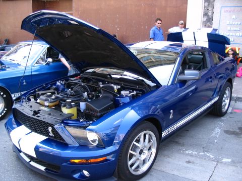 1993 Ford Taurus - A blue Ford Mustang Shelby GT500 is displayed with its hood open, parked alongside another classic blue Mustang.