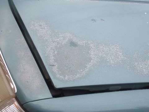 1993 Ford Crown Victoria photo