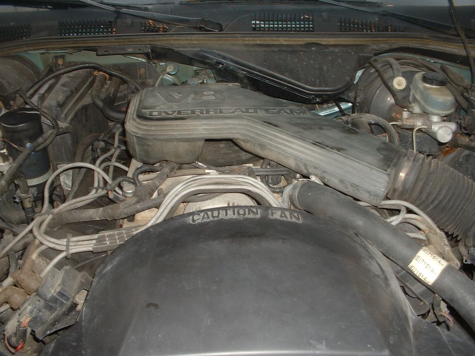 Engine bay with V8 overhead cam engine cover and "CAUTION FAN" warning