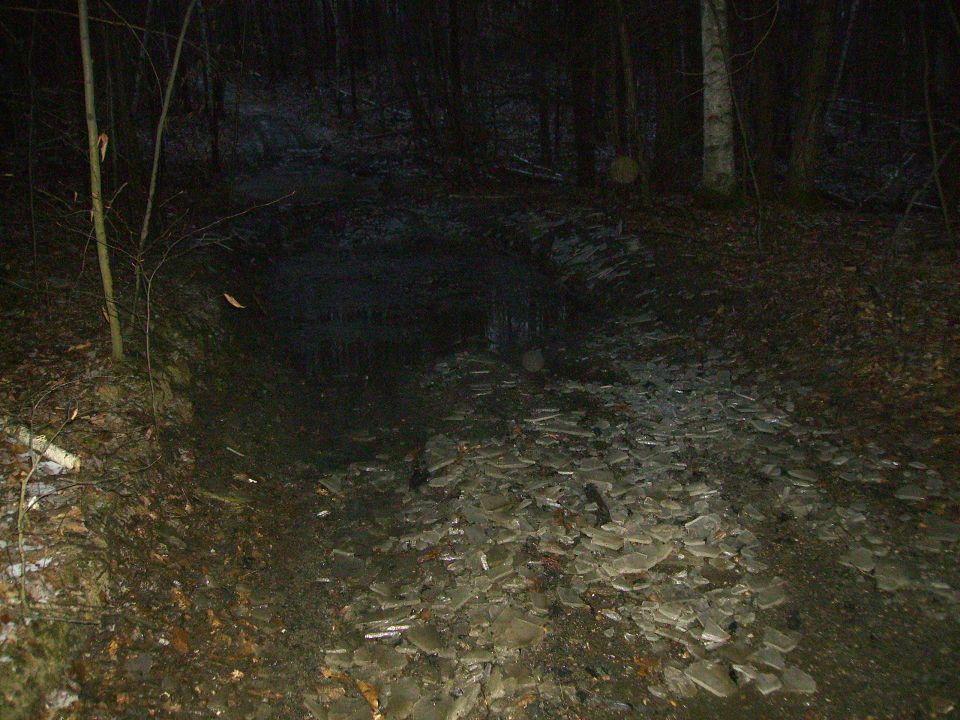 Forest trail covered in ice shards and mud, with trees in the background