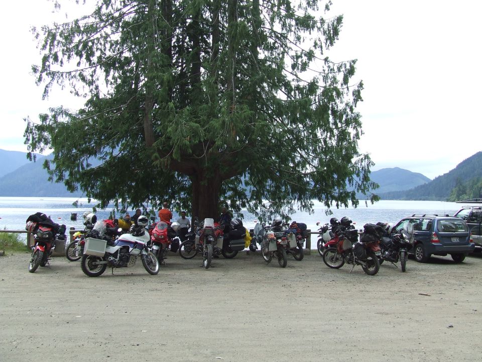 Group of loaded adventure motorcycles parked under a conifer at a lakeside gravel lot
