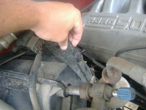 1989 Ford Bronco - Where to look...start on the passenger side. See that blue cap? That's where the AC is filled. Follow the line back to where it runs into t…