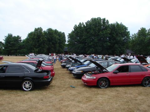 1993 Ford Taurus - A car show features numerous Ford Taurus vehicles parked in an outdoor lot with trees in the background.