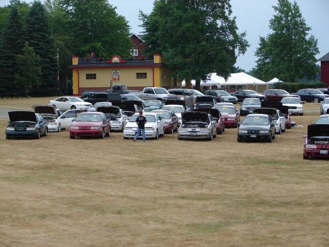 1993 Ford Taurus - A car show features numerous 1993 Ford Taurus models displayed on a grassy field.