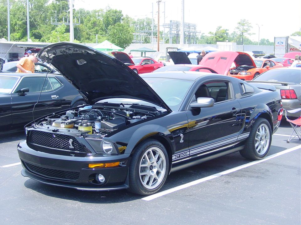 Black Ford Mustang GT500 with hood open, showing engine, parked at an outdoor event