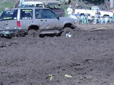 1989 Ford Bronco - Anne runs again