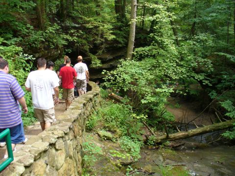 1991 Ford Probe - A group of people stroll along a stone pathway winding through a dense forest, with a small stream visible to the right.