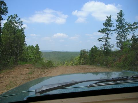 1989 Ford Bronco - View from inside a green vehicle driving on a dirt road through a wooded area with a distant view of rolling hills.