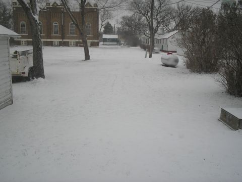 1999 Ford F-800 - my back yard