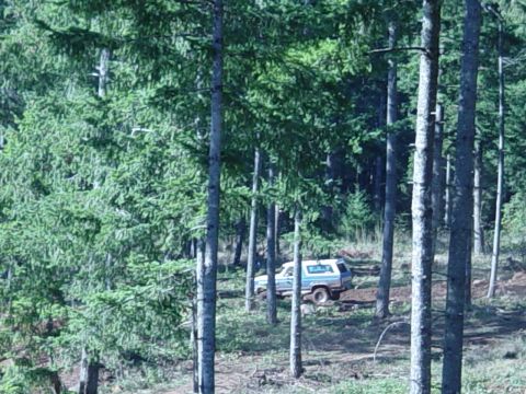 1989 Ford Bronco - Todd trying it again