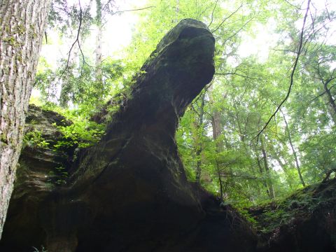 1991 Ford Probe - A unique rock formation stands tall amidst a lush, green forest environment.