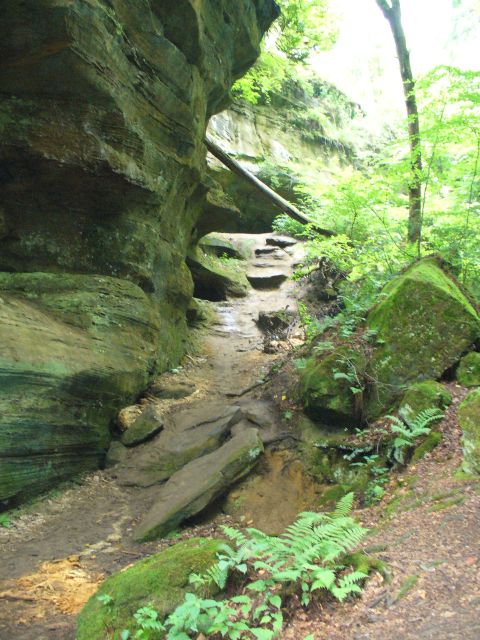 1991 Ford Probe - A scenic hiking trail winds through a wooded area with large rock formations and lush greenery.