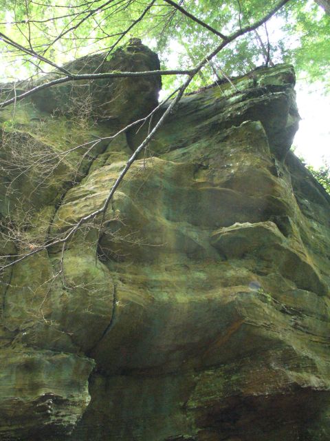 1991 Ford Probe - A natural rock formation is seen from below, with branches and leaves from trees overhead.