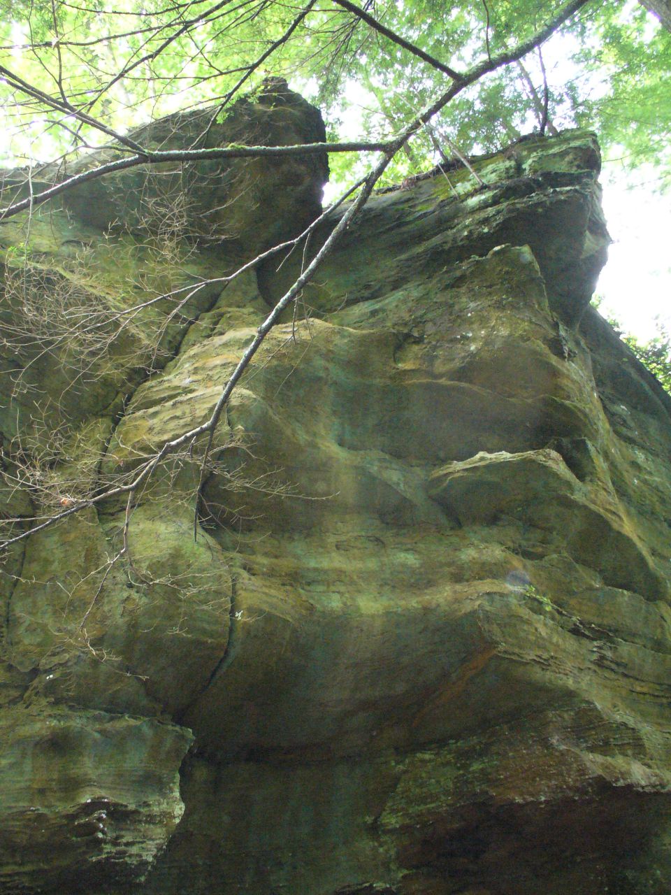 Large rock face with trees overhead