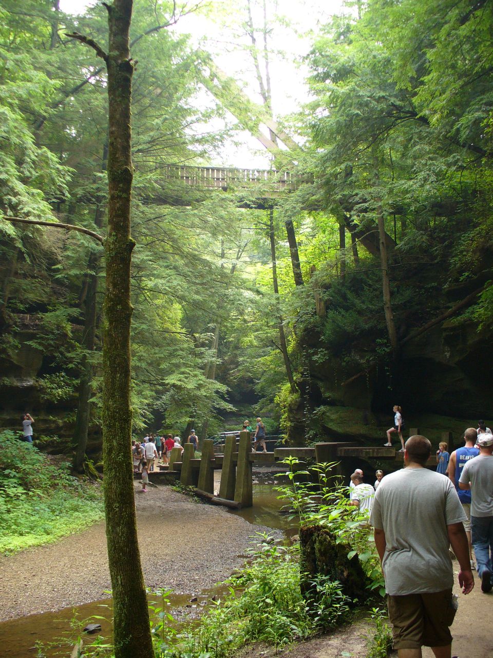Wooded gorge with a wooden bridge overhead and a path with people walking