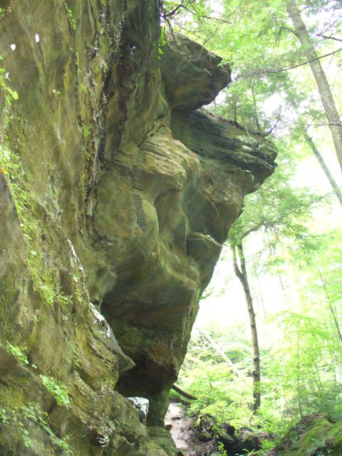 1991 Ford Probe - A natural rock formation resembling a face is seen in a lush, green forest, with a watermark from SuperMotors.net visible.