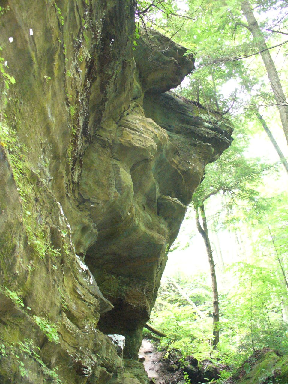 Rock formation in a forest with a "SuperMotors.net" watermark