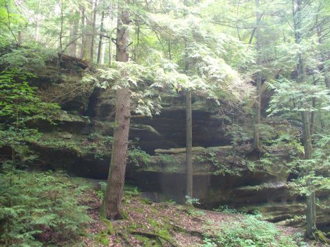 1991 Ford Probe - A natural landscape a rock formation and dense forest foliage.