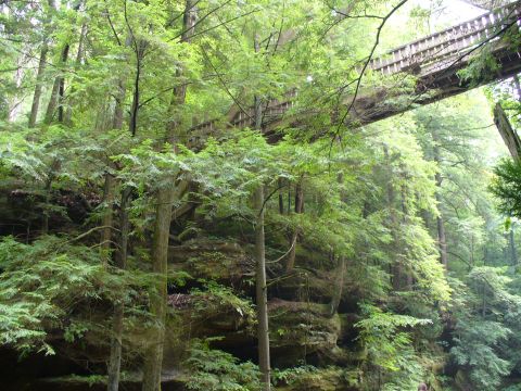 1991 Ford Probe - A wooden bridge crosses a lush green gorge, surrounded by trees and rock formations.