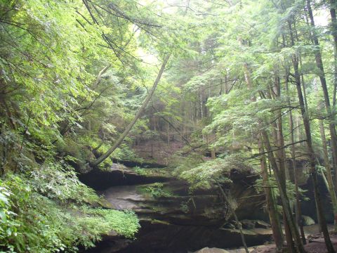 1991 Ford Probe - A lush forest scene unfolds with layered rock formations and abundant greenery.