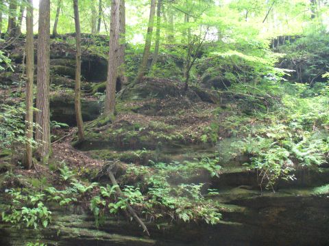 1991 Ford Probe - A natural landscape layered rock formations and dense vegetation, typical of a woodland environment.
